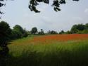 Photo of Honey Cottage