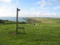 Self-catering holiday cottage - Ty Mefus, Little Haven, Pembrokeshire, Pembrokeshire Coast, Wales