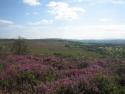 Self-catering holiday cottage - Spring Cottage, Sampford Moor, Wellington, Somerset, England