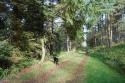 Self-catering holiday cottage - Mar Lodge, Knockespoch, Nr Huntly, Aberdeenshire, Scotland