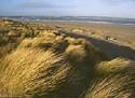 Self-catering holiday cottage - Penrhiw, Tal-y-bont, Nr Aberystwyth, Ceredigion, Wales