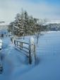 Self-catering holiday cottage - Wellhope View  Cottage, Hudgill, Alston, North Pennines, Cumbria, England