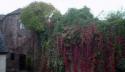 Self-catering holiday cottage - India Cottage, Ross-on-Wye, Herefordshire, England
