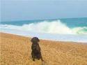 Self-catering holiday cottage - Keeper's Cottage, Stokenham, Nr Salcombe, Kingsbridge And Dartmouth, Devon, England