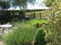 Self-catering holiday cottage - Hen Hafod Cottage, Pencader, Carmarthenshire, Wales