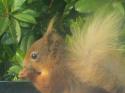 Self-catering holiday cottage - Upper Finlarig Cottages, Dulnain Bridge, Near Aviemore, Highland, Cairngorms, Scotland