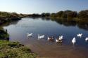 Self-catering holiday cottage - No. 2 Byre Cottage, Felinwynt, Cardigan Bay, Ceredigion, Wales