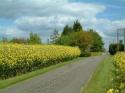 Self-catering holiday cottage - Highfield Farm Holiday Cottage, Sandy, Bedfordshire/Cambridgeshire Borders, Bedfordshire, England