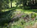 Self-catering holiday cottage - Swallows Nest, Luppitt, Nr Honiton, Devon, England