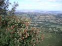 Self-catering holiday cottage - Yew Trees Cottage, Craswall, Nr Hay On Wye, Herefordshire, England