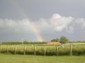 Self-catering holiday cottage - Owl Cottage, Willow Farm, Thorpe Fendykes, Skegness, Lincolnshire, England