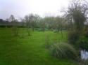 Self-catering holiday cottage - Holly Tree Cottage, Sibton Green, Suffolk, England