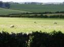 Self-catering holiday cottage - Llys Tegfan, Llandegfan, Beaumaris, Anglesey, Snowdonia, Wales