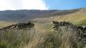 Self-catering holiday cottage - Hafod Lydan Farmhouse, Llanberis, Caernarfon, Gwynedd, Snowdonia, Wales