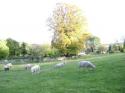 Self-catering holiday cottage - Strawberry Cottage, Guiting Power, Cheltenham, Gloucestershire, Cotswolds, England