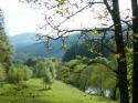 Self-catering holiday cottage - Benvane Cottage, Balnaha, Strathyre, Trossachs National Park, Perth and Kinross, Loch Lomond and Trossachs National Park, Scotland
