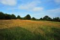 Self-catering holiday cottage - Meadow View Cottage, Stuckton, Fordingbridge, Hampshire, New Forest, England