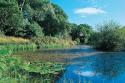 Self-catering holiday cottage - Spinners Cottage, Boyton, Nr Bude, North Cornwall, England