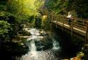 Self-catering holiday cottage - Tievebulliagh, Cushendall, County Antrim, Northern Ireland