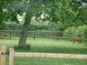 Self-catering holiday cottage - Stable Cottages 1, Chiswood, Trowbridge, Wiltshire, England