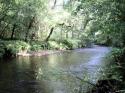 Self-catering holiday cottage - Foxglove Barn, Twowatersfoot, Liskeard, Cornwall, England