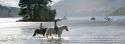 Self-catering holiday cottage - Mains Of Taymouth Country Estate, Kenmore, Aberfeldy, Perth and Kinross, Scotland