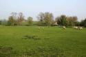 Self-catering holiday cottage - Rye Hill House, Bruntingthorpe, Leicestershire, England