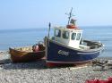 Self-catering holiday cottage - Swallows, Colyton, Nr Honiton, Devon, England
