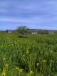 Self-catering holiday cottage - 4b Glassard, Isle of Colonsay, Inner Hebrides, Argyll and Bute, Scottish Islands, Scotland