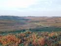 Self-catering holiday cottage - The Lodge at Croft Cottage, Godshill, Fordingbridge, Hampshire, New Forest, England