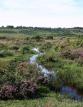 Self-catering holiday cottage - The Lodge at Croft Cottage, Godshill, Fordingbridge, Hampshire, New Forest, England