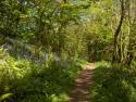Self-catering holiday cottages - Buttermill Cottage, Week St Mary, Nr Bude, North Cornwall, England