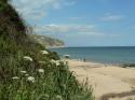 Self-catering holiday cottage - 2 Carrants Court, Swanage, Dorset, England