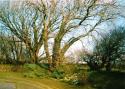 Self-catering holiday cottage - The Old Dairy, Boscastle, North Cornwall, England