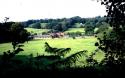 Self-catering holiday cottage - The Groom's, Gorley Vale Farm, Furzehill, Fordingbridge, Hampshire, New Forest, England