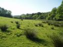 Self-catering holiday cottage - Romany Caravans at Middleton Mill Farm, Churchstanton, Clayhidon, Nr Honiton, Devon, England