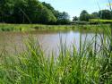 Self-catering holiday cottage - Off The Beaten Track, Petrockstowe, Okehampton, Devon, England