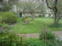 Self-catering holiday cottage - Enford House Cottage, Enford, Salisbury Plain, Wiltshire, England