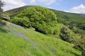 Self-catering holiday cottage - Hay Riverside Retreats, Hay-on-Wye, Powys, Brecon Beacons, Wales