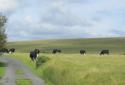 Self-catering holiday cottage - Mellon Farm, St Breward, Bodmin Moor, Cornwall, England