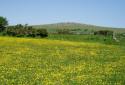 Self-catering holiday cottage - Mellon Farm, St Breward, Bodmin Moor, Cornwall, England