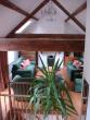 Self-catering holiday cottage - Port House & Port House Apartment, Brimscombe, Stroud, Gloucestershire, Cotswolds, England