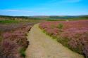 Self-catering holiday cottage - Model Buildings, Rothbury, Northumberland, Northumberland National Park, England