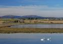 Holiday cottage in Balblair, By Dingwall, Ross-shire, Highland