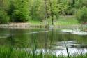 Self-catering holiday cottage - Old Keepers Cottage, West Grimstead, Nr Salisbury, Hampshire, England