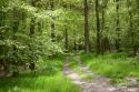 Self-catering holiday cottage - Old Keepers Cottage, West Grimstead, Nr Salisbury, Hampshire, England