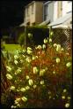 Self-catering holiday cottage - Pendra Loweth, Maen Valley, Falmouth, South Cornwall, England