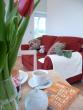 Self-catering holiday cottage - Cross Farm Holiday Cottages, Ormskirk, Nr Southport, Lancashire, England