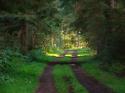 Self-catering holiday cottage - Tiore, Bowmont Forest, Nr Kelso, Scottish Borders, Scotland