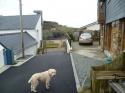Self-catering holiday cottage - Seaglass cottage, Little Haven, Haverfordwest, Pembrokeshire, Pembrokeshire Coast, Wales